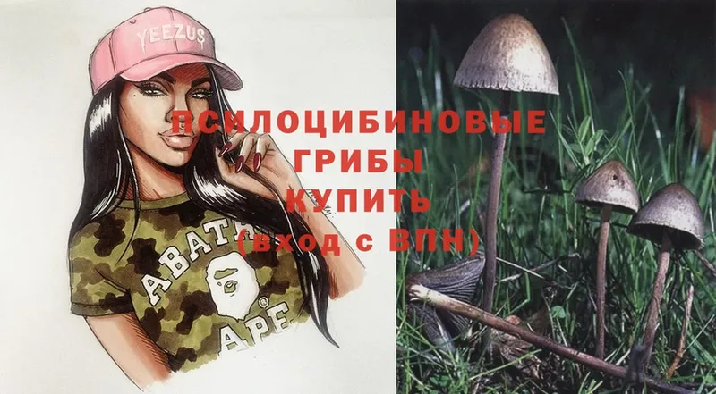 hydra маркетплейс  Нижний Ломов  Галлюциногенные грибы Psilocybe 